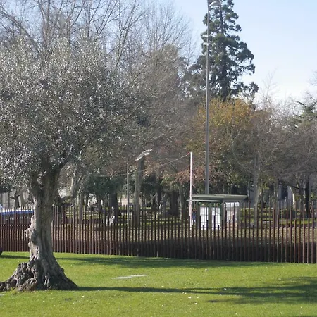 شقة Centre Clean & Cozy 2 *